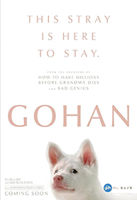 伴我一生，感謝你 