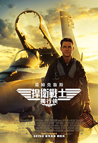 捍衛戰士：獨行俠